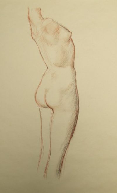 Nude study n. 2, charcoal on paper, 2012