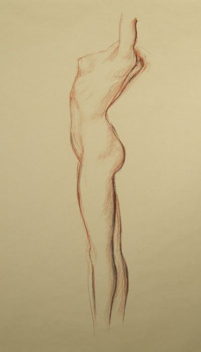 Nude study n. 3, charcoal on paper, 2012